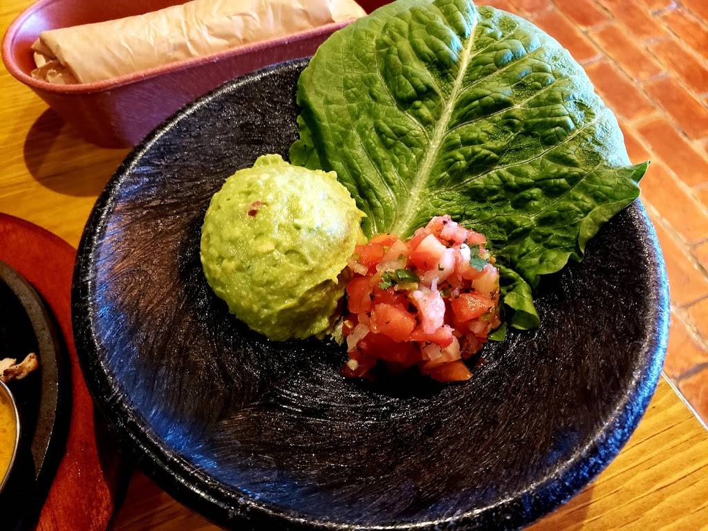 Lupe Tortilla Mexican Restaurant | restaurant | 1865 N Central Expy, Allen, TX 75013, USA | 4696601576 OR +1 469-660-1576