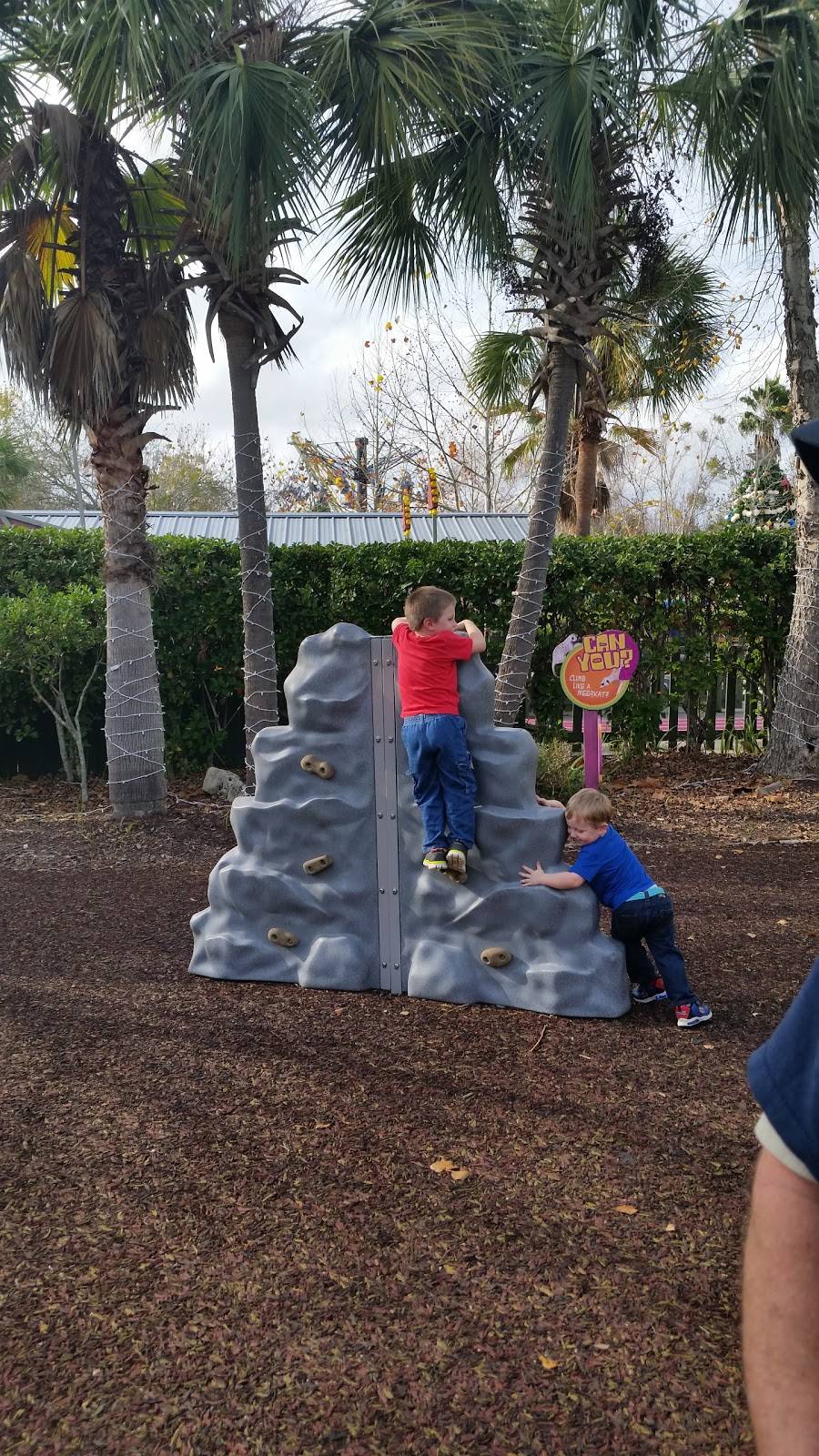 Mamas Pizzeria | restaurant | Valdosta, GA 31601, USA | 2292197080 OR +1 229-219-7080