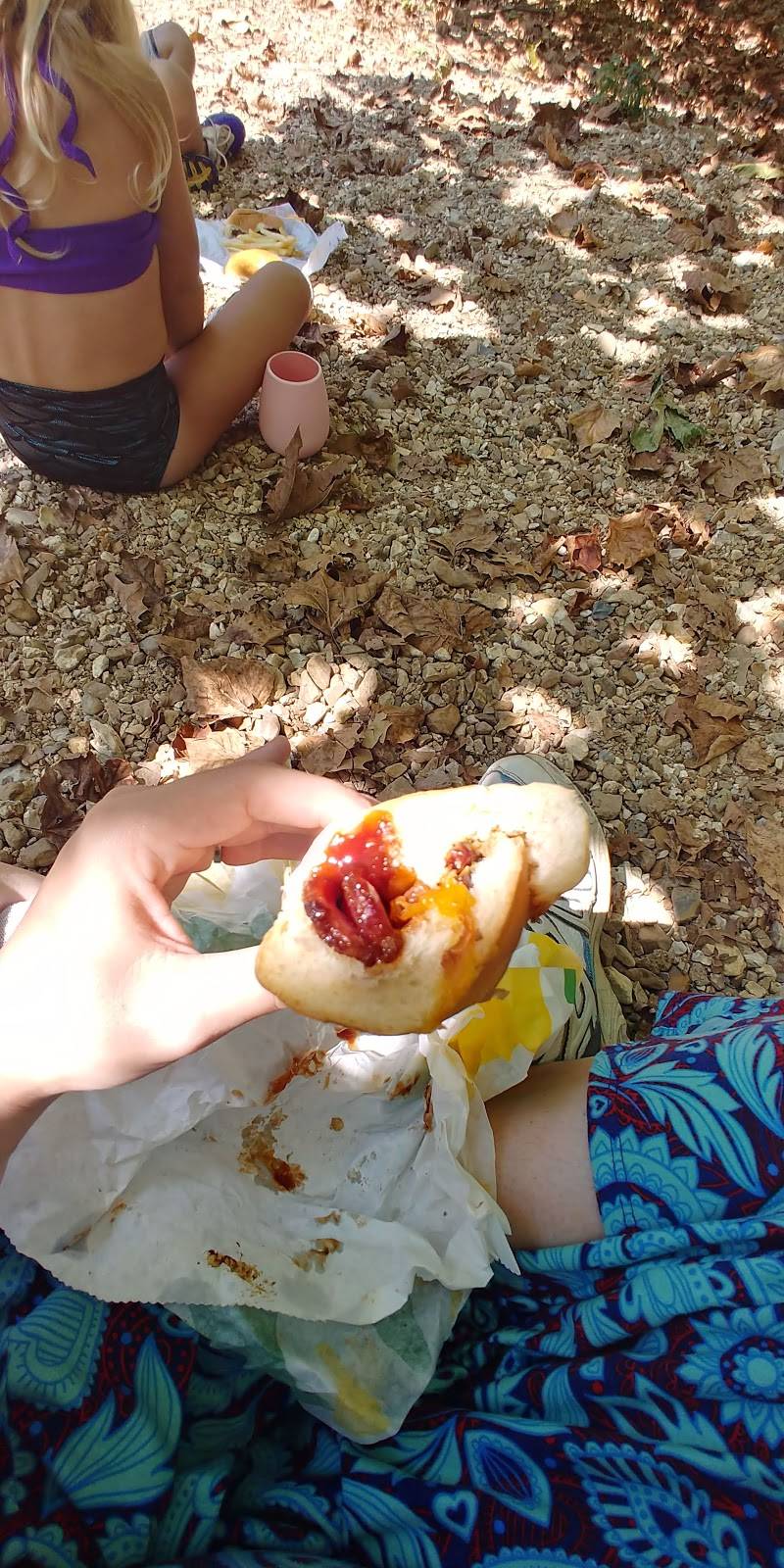 Subway Restaurants | restaurant | 312 Ichord Ave, Waynesville, MO 65583, USA | 5737748451 OR +1 573-774-8451