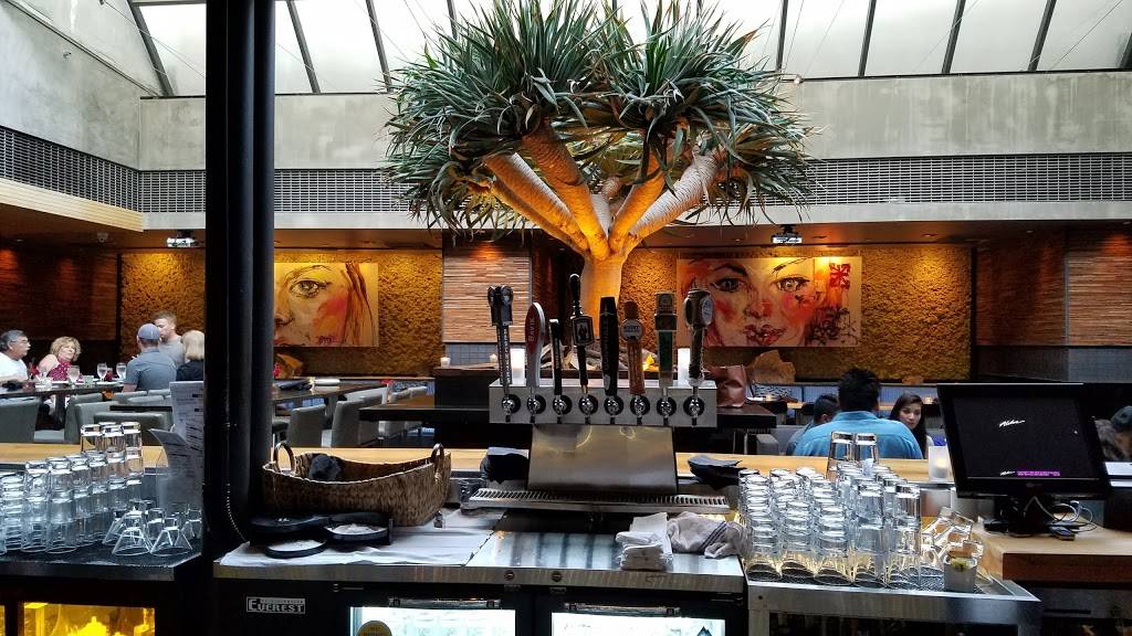 Mesa | night club | 725 Baker St, Costa Mesa, CA 92626, USA | 7145576700 OR +1 714-557-6700