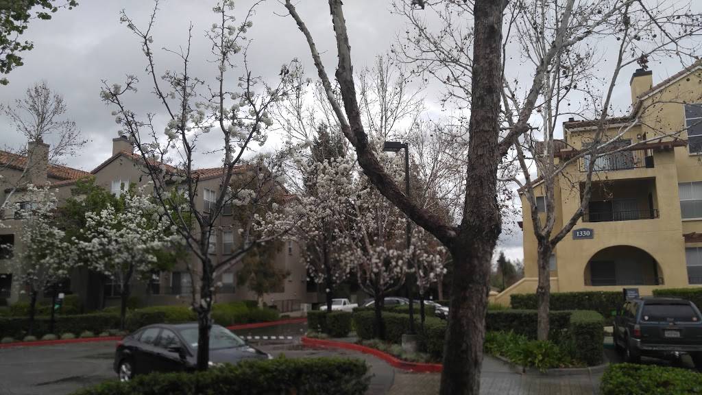 Starbucks | cafe | 1338 The Alameda, San Jose, CA 95126, USA | 4089200266 OR +1 408-920-0266