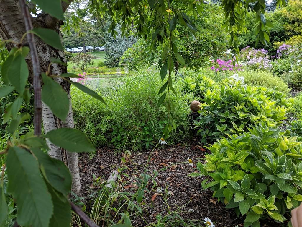 Clearbrook Golf Club & The Grill Room at Clearbrook | restaurant | 6494 Clearbrook Dr, Saugatuck, MI 49453, USA | 2698572000 OR +1 269-857-2000