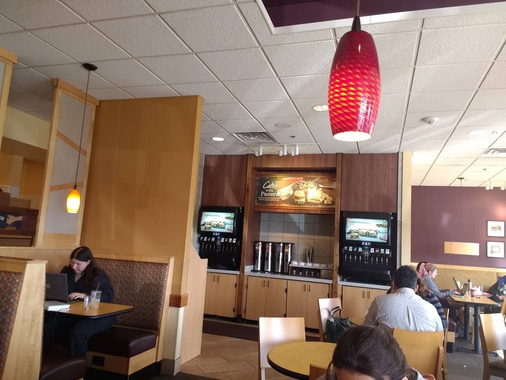 Panera Bread | cafe | 10914 Baltimore Ave, Beltsville, MD 20705, USA | 3019316707 OR +1 301-931-6707