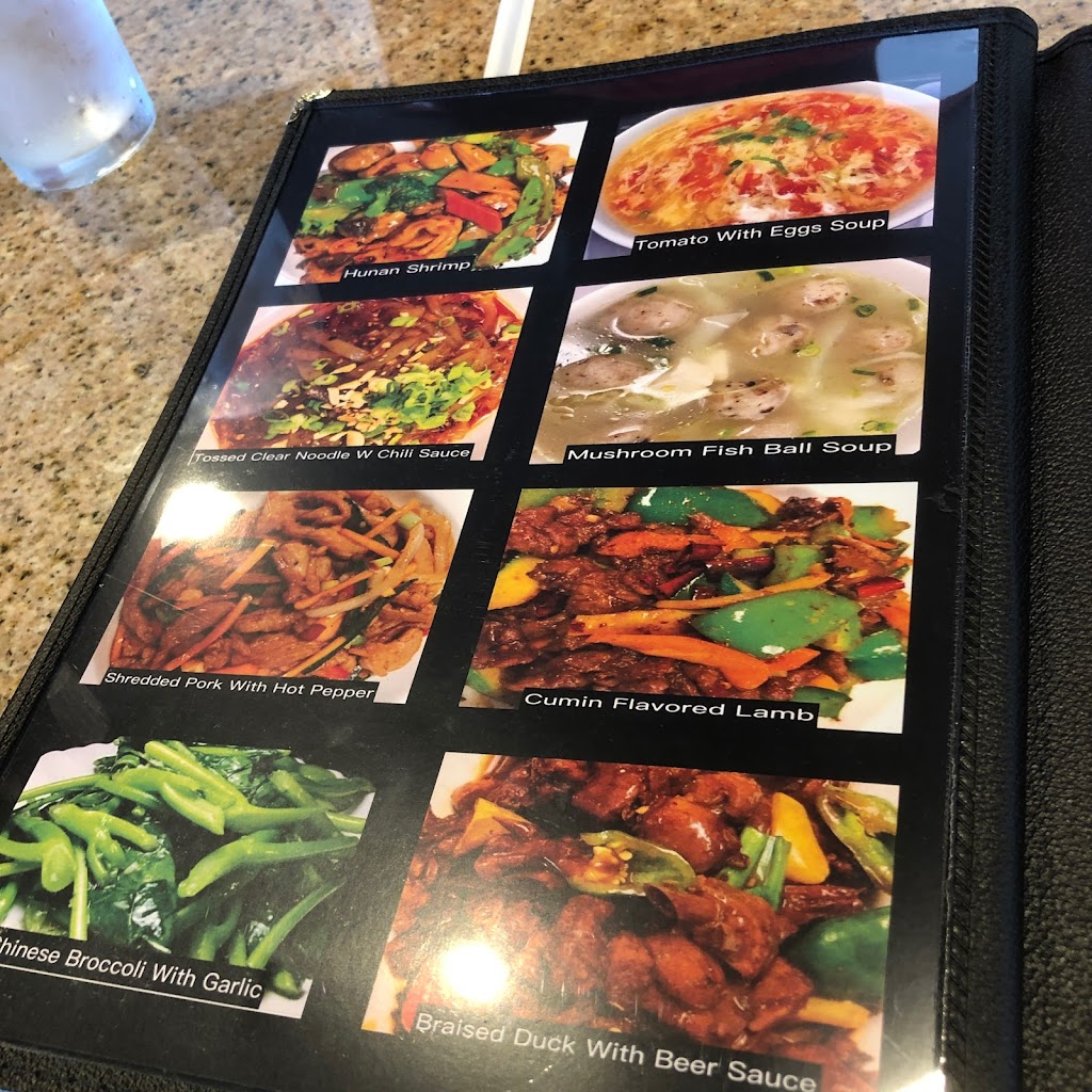 Blossom Kitchen | restaurant | 625 W Tennessee St, Tallahassee, FL 32304, USA | 8507650149 OR +1 850-765-0149