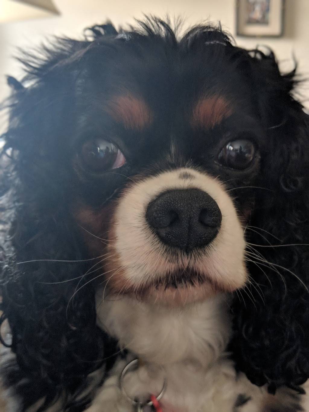 Genelles Cafe | restaurant | 1 Walker Dr, New Castle, DE 19720, USA | 3026545322 OR +1 302-654-5322