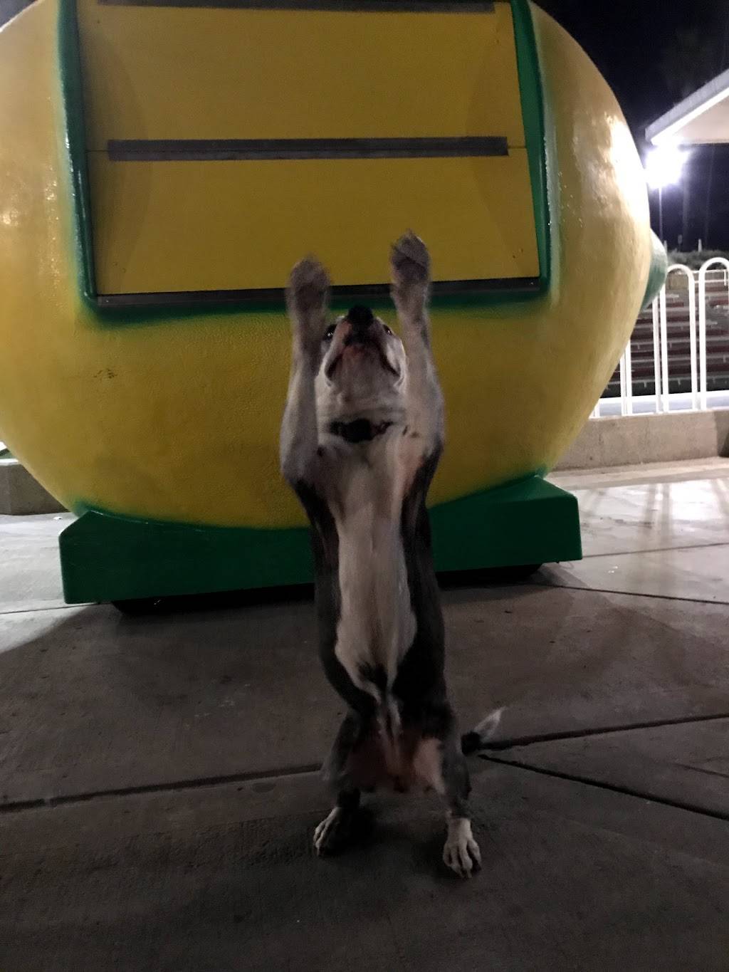 SD Lemon Life | restaurant | 200 The Strand N, Oceanside, CA 92054, USA | 7605738286 OR +1 760-573-8286