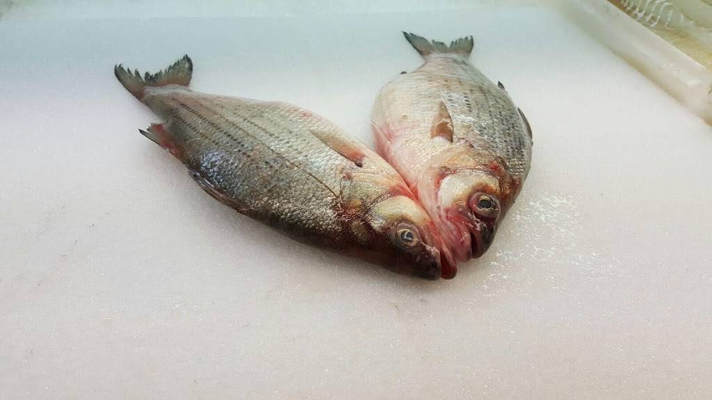 Als Fresh Fish & Chicken | meal takeaway | 2935 Russell St, Detroit, MI 48207, USA | 3133931722 OR +1 313-393-1722