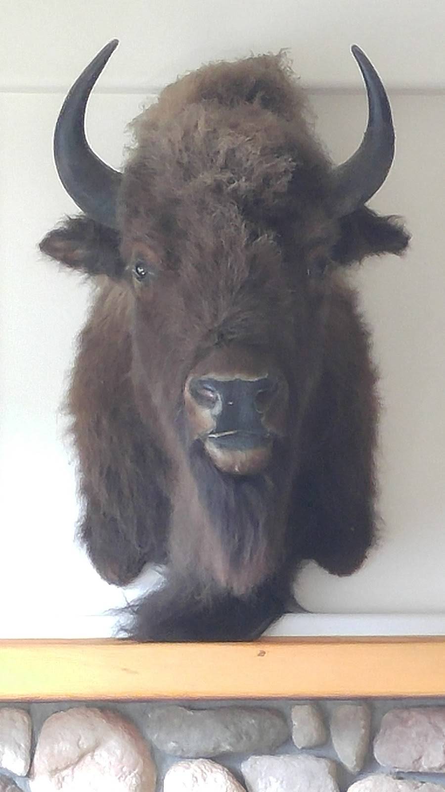 Camp Shasta Coffee Co | restaurant | 20766 Lakeshore Dr, Lakehead, CA 96051, USA | 5302388088 OR +1 530-238-8088