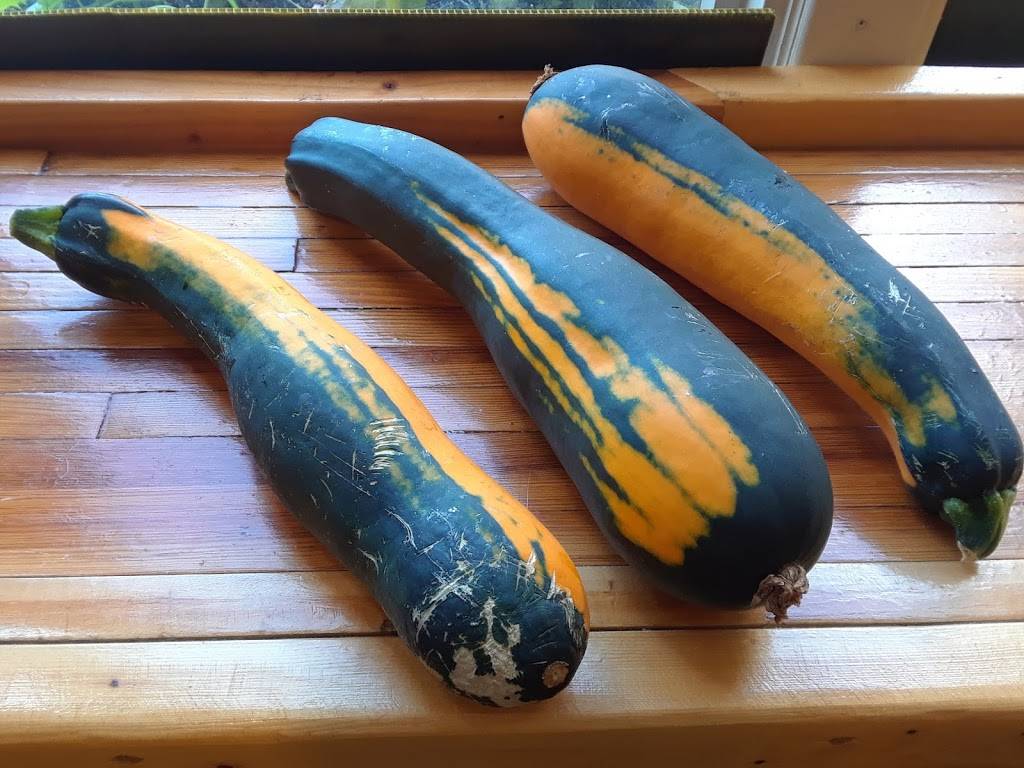 Gooseberries | restaurant | 2754 Chippewa St, St. Louis, MO 63118, USA | 3145776363 OR +1 314-577-6363