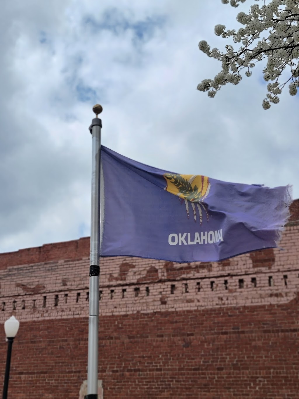 China Chinese Restaurant | restaurant | 209 E Grand Ave, Tonkawa, OK 74653, USA | 5806282300 OR +1 580-628-2300