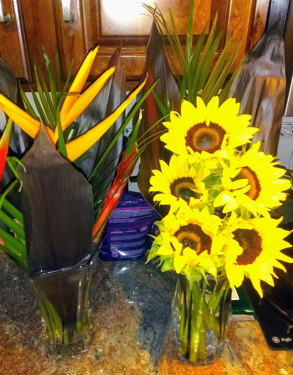 Sunshine Vegan Eats, LLC. | restaurant | 893 Jefferson Ave, Buffalo, NY 14204, USA | 7167250284 OR +1 716-725-0284