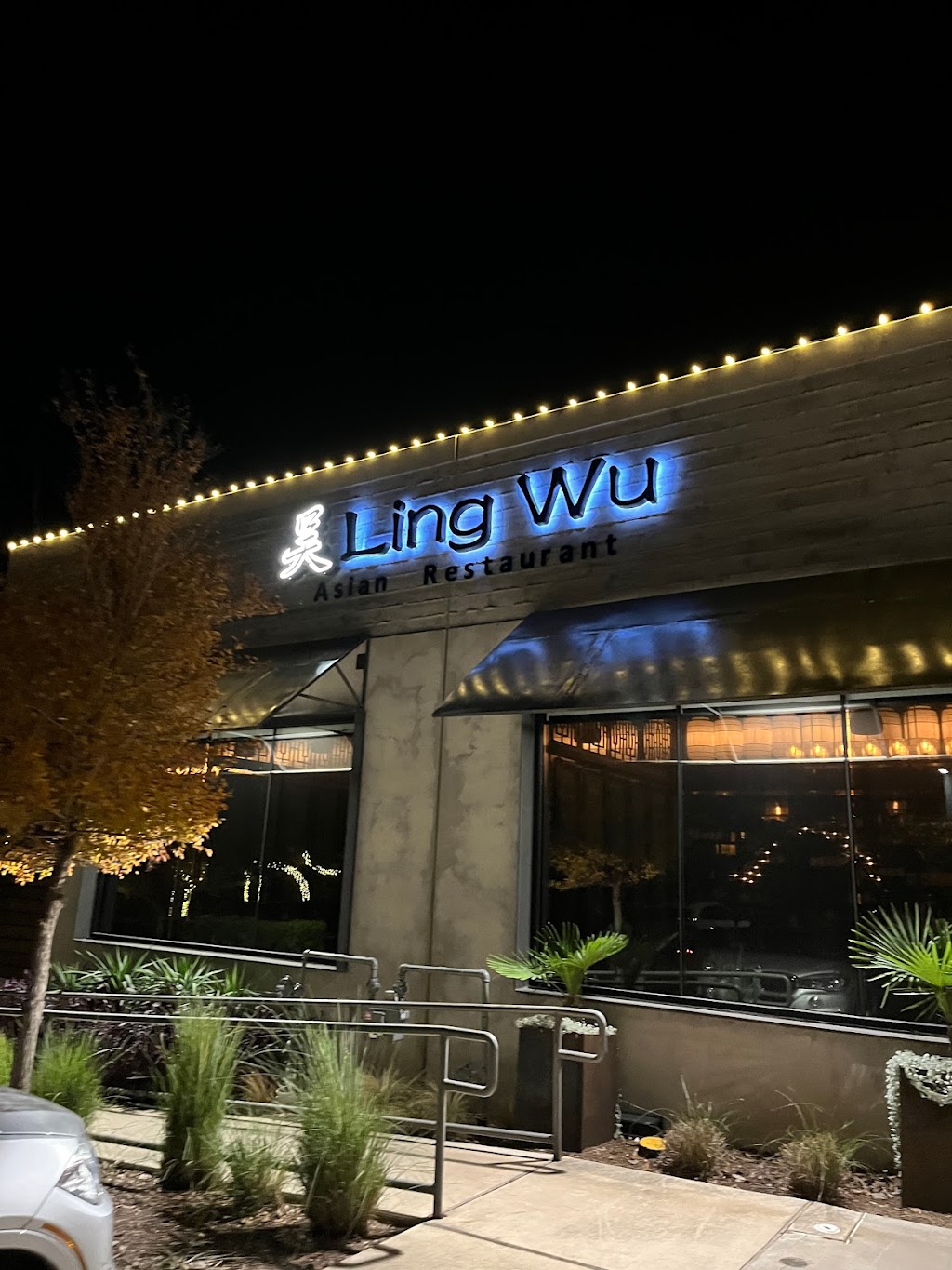 Ling Wu Asian Restaurant | restaurant | 7415 Southwest Pkwy, Austin, TX 78735, USA | 5128928878 OR +1 512-892-8878