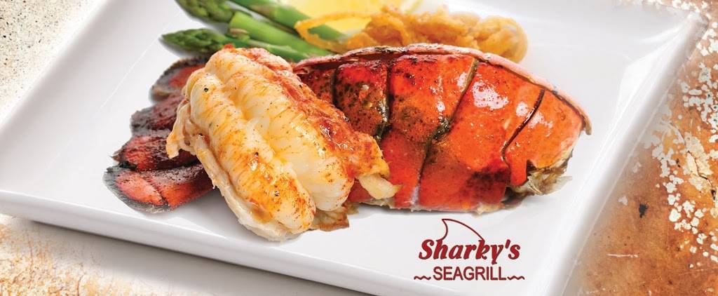 Sharkys Seagrill | restaurant | 2519 Gulf Dr N, Bradenton Beach, FL 34217, USA | 9417799151 OR +1 941-779-9151