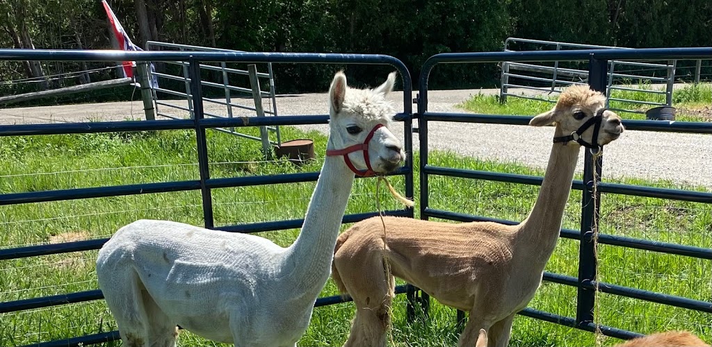 Lazy Breeze Farm and The Burger Buggy | restaurant | 155 Burnham Rd, Waltham, VT 05491, USA | 8027714685 OR +1 802-771-4685