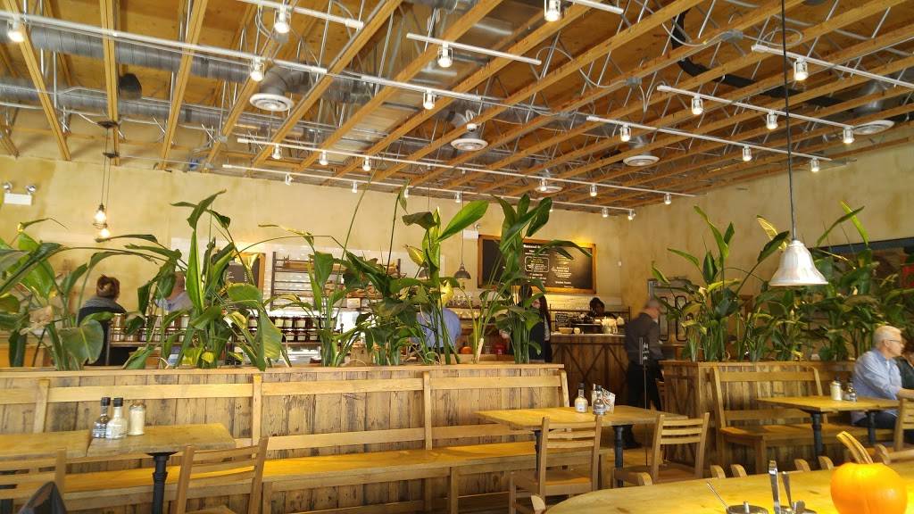 Le Pain Quotidien | restaurant | 1562 N Wells St, Chicago, IL 60610, USA | 3122816775 OR +1 312-281-6775