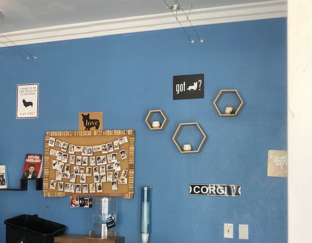 Amitis Poke Cafe and Curry | restaurant | 800 Masonic Ave, San Francisco, CA 94117, USA | 4155632828 OR +1 415-563-2828