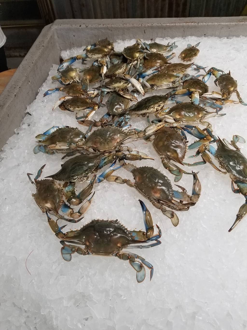 Boyds Cajun Grill Express | restaurant | 227 Dike Rd, Texas City, TX 77590, USA | 4099950903 OR +1 409-995-0903