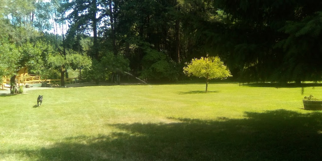 Singing Springs Resort | restaurant | 34501 Agness Illahe Rd, Agness, OR 97406, USA | 5412476162 OR +1 541-247-6162