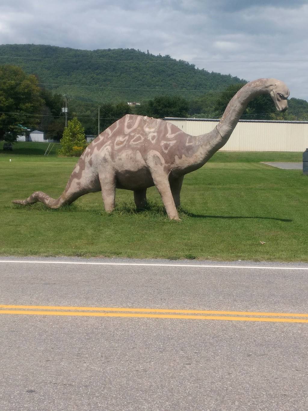 Scottos Pizza | restaurant | 853 Rockbridge Rd, Glasgow, VA 24555, USA | 5402582500 OR +1 540-258-2500