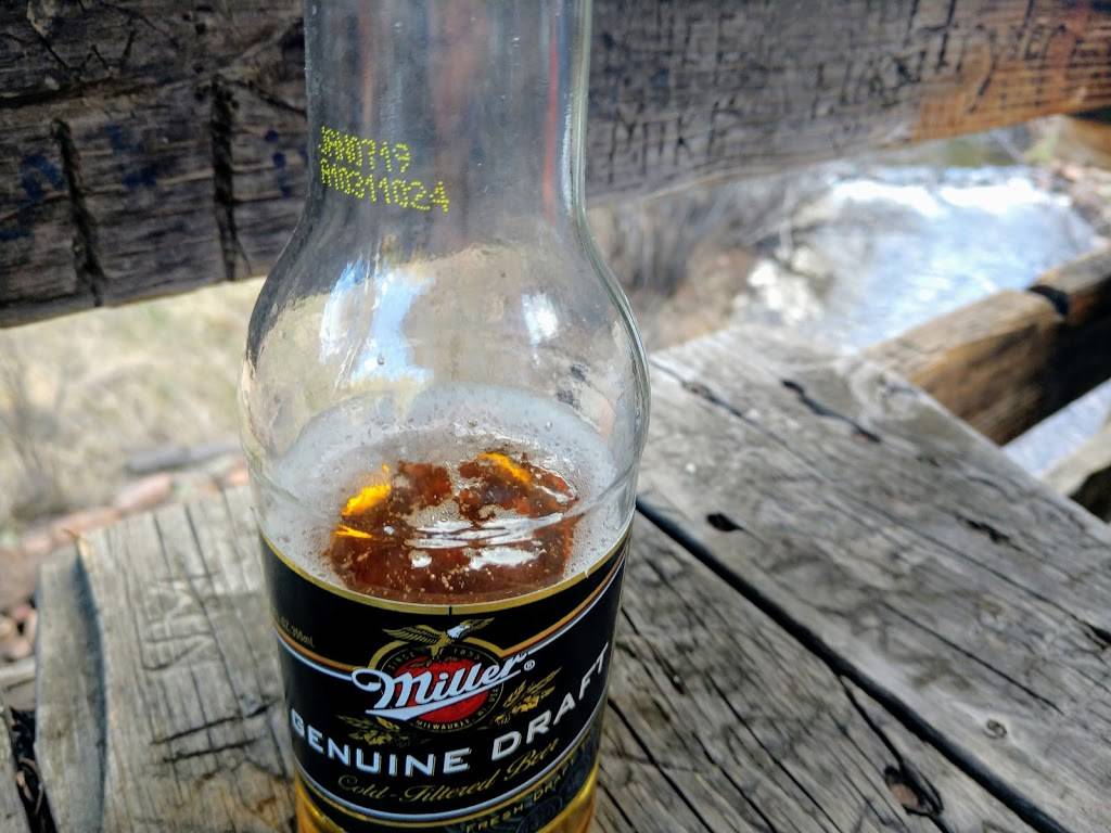 Buck Snort Saloon | restaurant | 15921 S Elk Creek Rd, Pine, CO 80470, USA | 3038380284 OR +1 303-838-0284