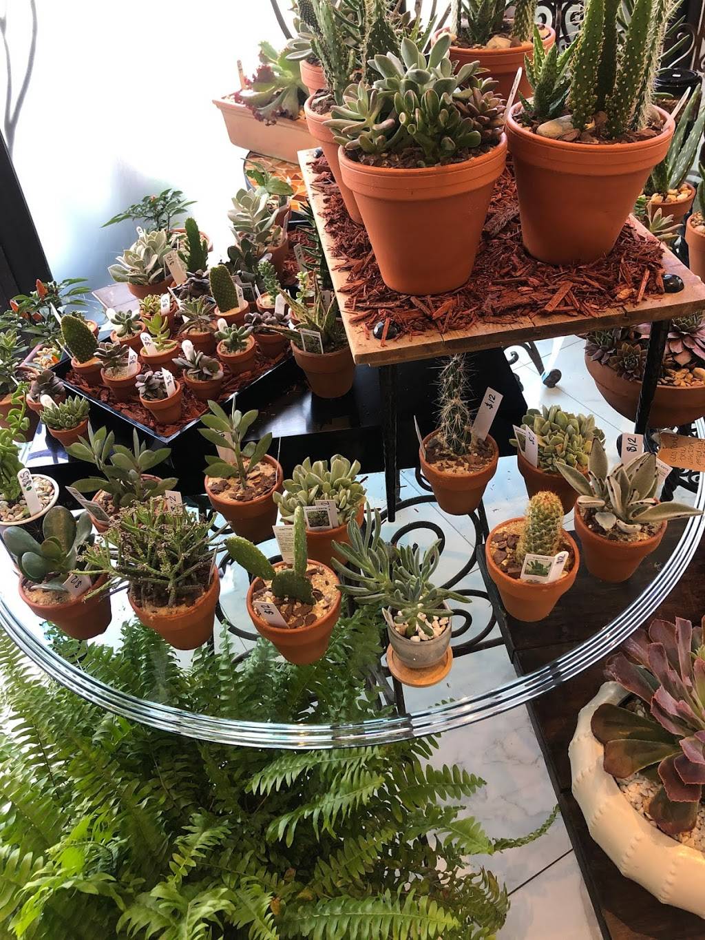 Artesano Cafe & Bistro | cafe | 109 Green Ln, Philadelphia, PA 19127, USA | 2673318457 OR +1 267-331-8457