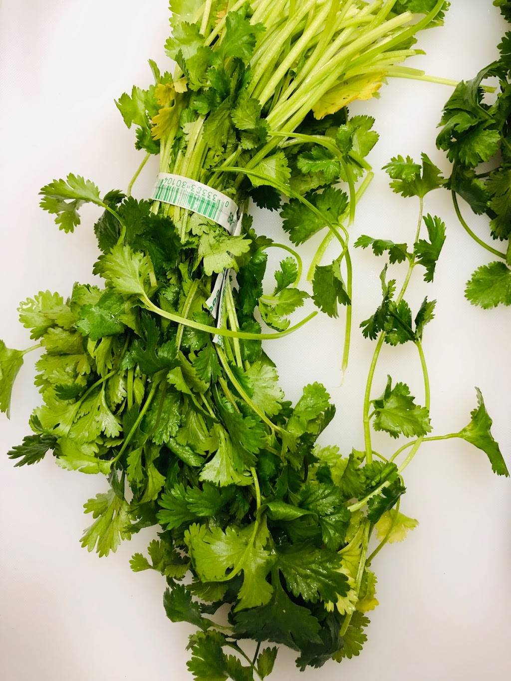 RuRus Tacos & Tequila | restaurant | 159 E Bay St, Charleston, SC 29401, USA | 8436373686 OR +1 843-637-3686