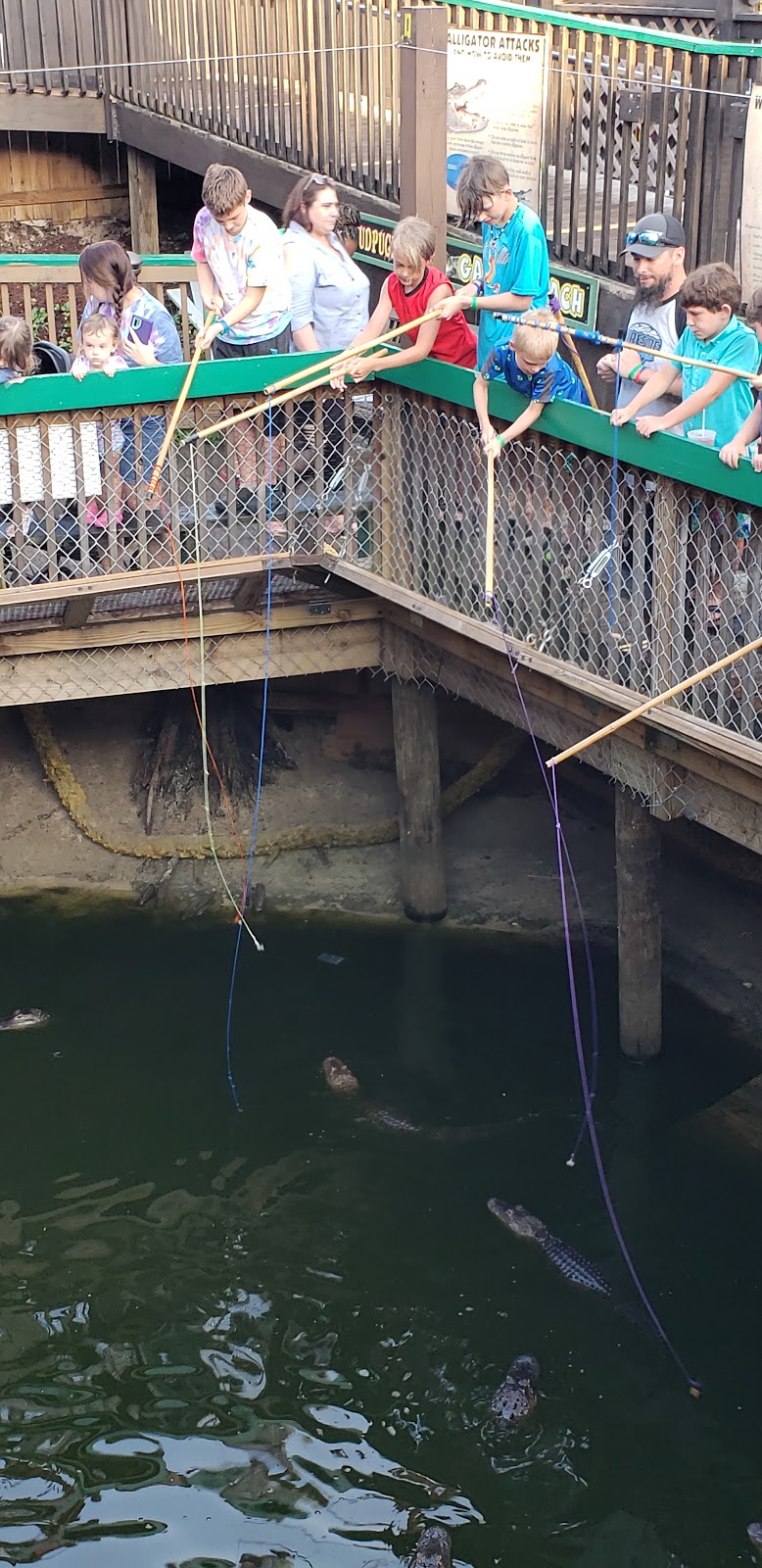 Fudpuckers | restaurant | 20001 Emerald Coast Pkwy, Destin, FL 32541, USA | 2816526123 OR +1 281-652-6123