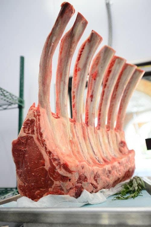 Monte Carlo Steakhouse and Bar Inc | restaurant | 209 W South St, Plano, IL 60545, USA | 6303327700 OR +1 630-332-7700