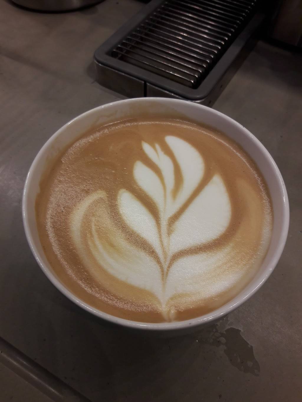 Starbucks | cafe | 14180 Blossom Hill Rd, Los Gatos, CA 95032, USA | 4083565856 OR +1 408-356-5856