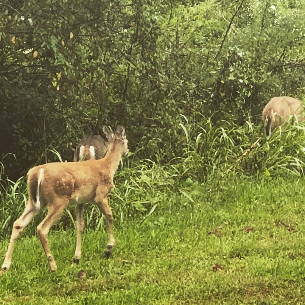 Blue Licks Battlefield State Resort Park | restaurant | 10299 Maysville Rd, Carlisle, KY 40311, USA | 8592895507 OR +1 859-289-5507