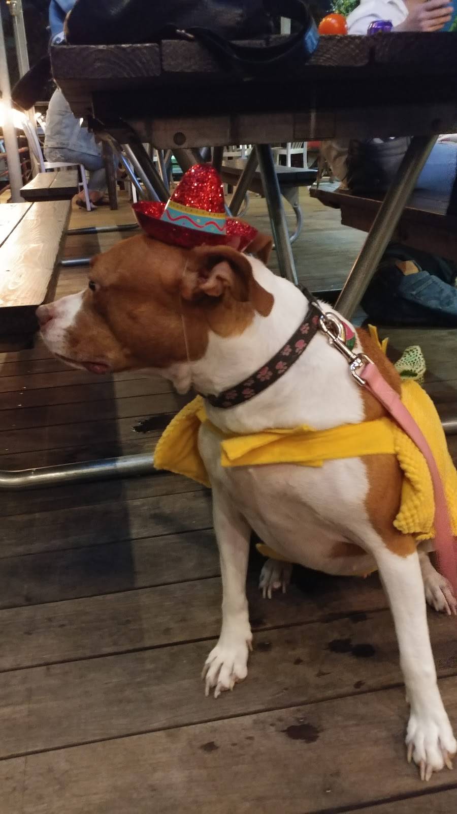 Little Woodrows Tech Ridge Bar & Grill | restaurant | 12601 Tech Ridge Blvd, Austin, TX 78753, USA | 5128528078 OR +1 512-852-8078