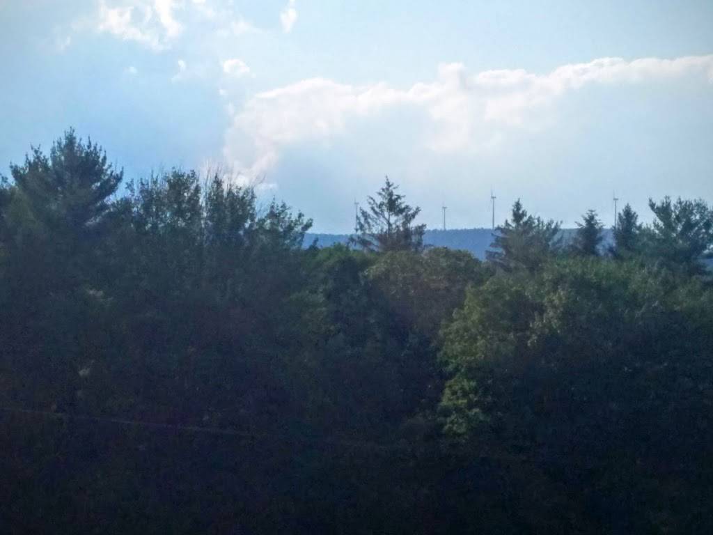 Tarragon | restaurant | 125 S Atherton St, State College, PA 16801, USA | 8142312100 OR +1 814-231-2100