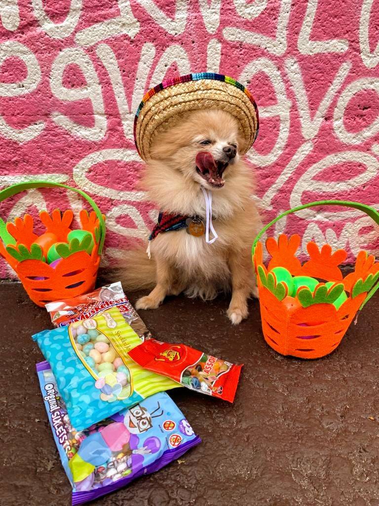 La Mexicana Taco Bar | restaurant | 2430 NE 13th Ave, Wilton Manors, FL 33305, USA | 7547015977 OR +1 754-701-5977