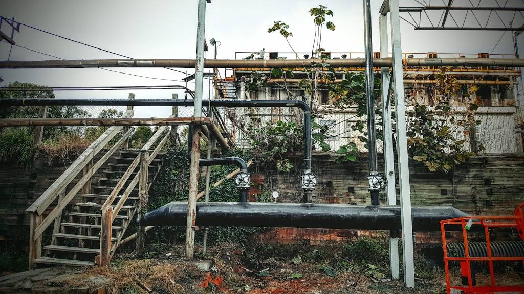 Sidewinders | restaurant | 16 Campbell Ave SE, Roanoke, VA 24014, USA | 5409042777 OR +1 540-904-2777