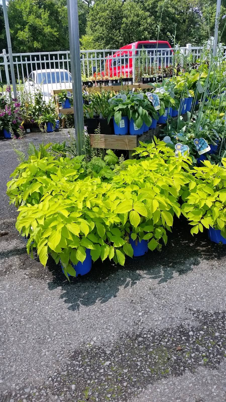 Adams Cafe | restaurant | 765 Dutchess Turnpike, Poughkeepsie, NY 12603, USA | 8454549035 OR +1 845-454-9035