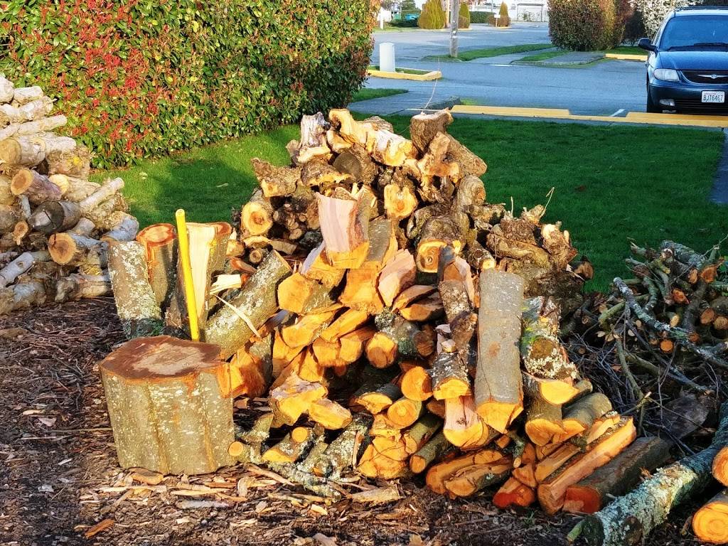 Dads Diner Old School BBQ | restaurant | 903-909 22nd St, Anacortes, WA 98221, USA | 3608402938 OR +1 360-840-2938