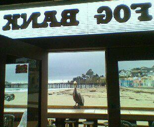 Fog Bank | restaurant | 211 Esplanade, Capitola, CA 95010, USA | 8314621881 OR +1 831-462-1881