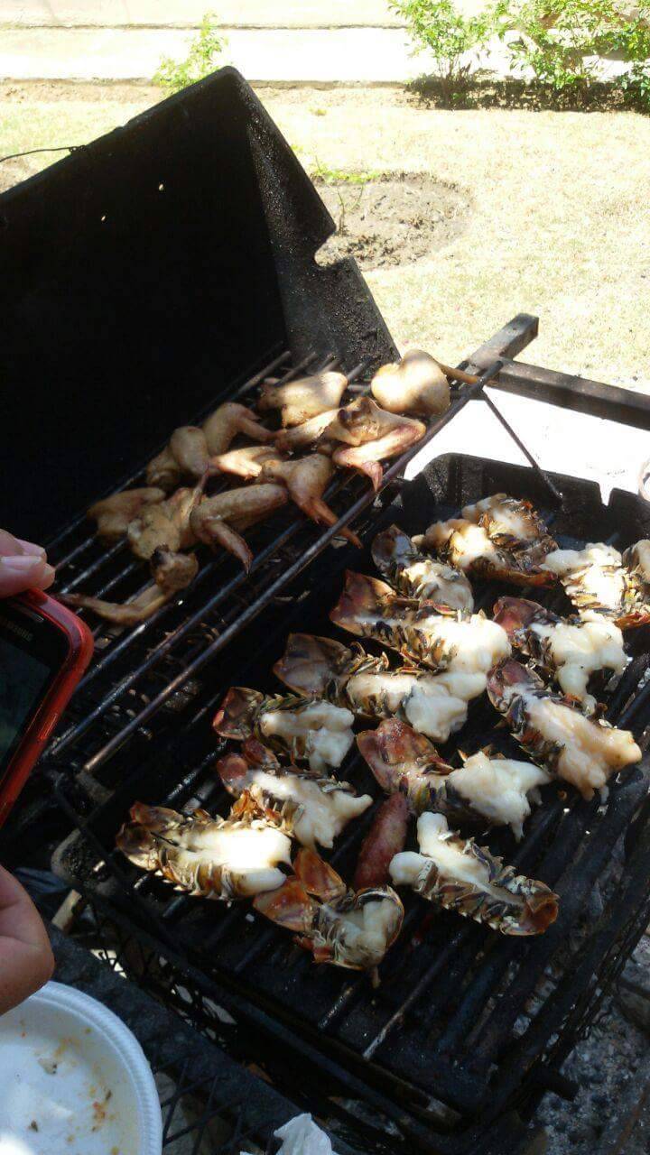 Cristinas Restaurant | restaurant | 450 S 7th St, Reading, PA 19602, USA | 6107360329 OR +1 610-736-0329