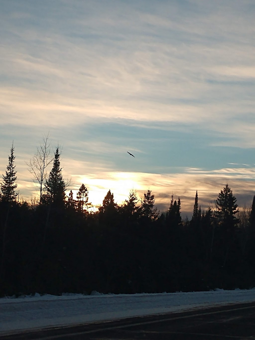 Hoppys Bar | restaurant | 4780 M-28, Kenton, MI 49967, USA | 9068523540 OR +1 906-852-3540