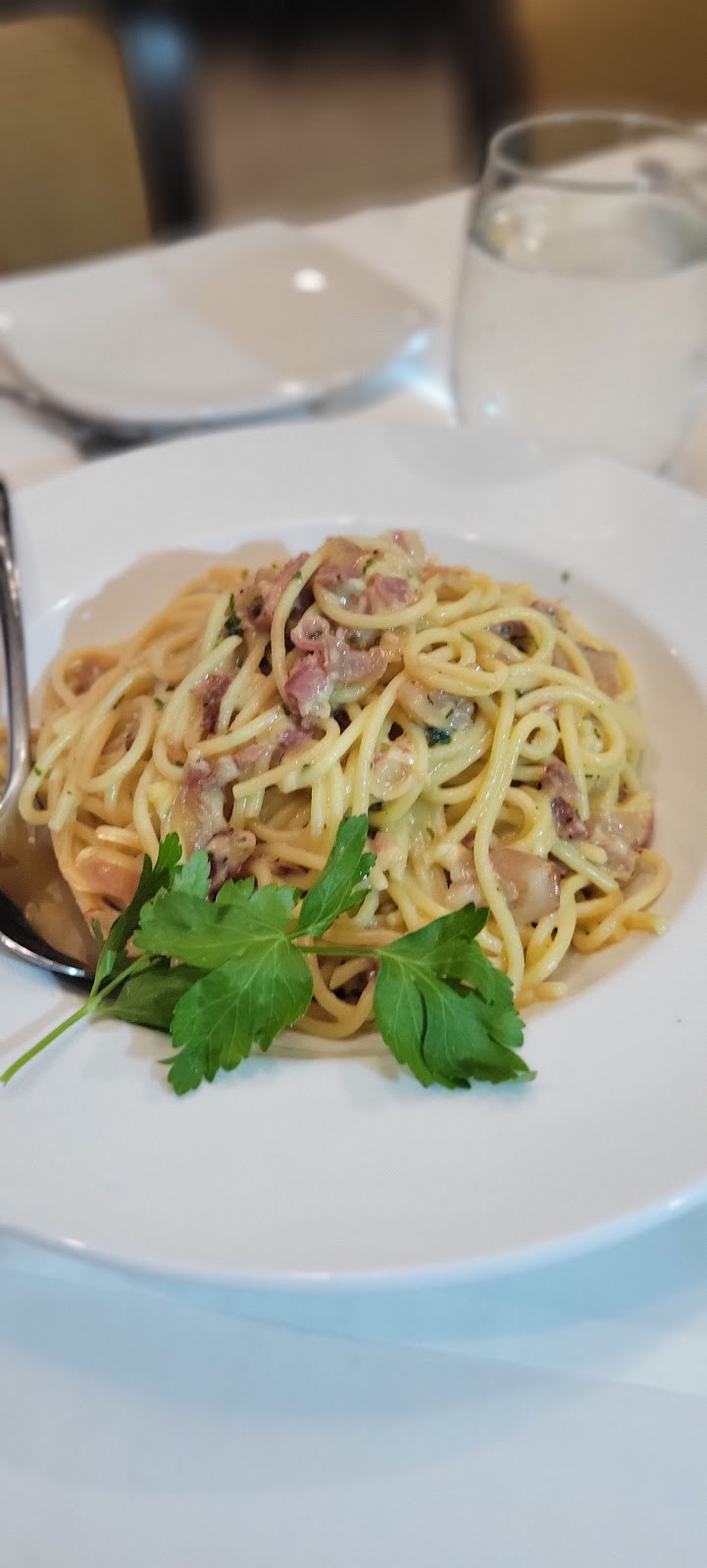 Gaia Italiano | restaurant | 6822 Windsor Ave, Berwyn, IL 60402, USA | 2062349239 OR +1 206-234-9239