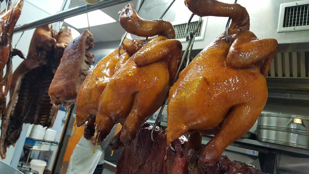 China Gourmet 金鼎海鮮酒家 | restaurant | 2842 St Vincent St, Philadelphia, PA 19149, USA | 2159411898 OR +1 215-941-1898