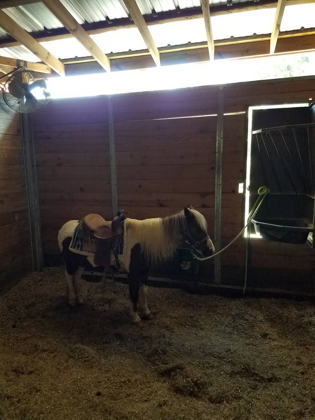 Cedar Hill Farm | restaurant | 8 Love Rd, Hernando, MS 38632, USA | 6624292540 OR +1 662-429-2540