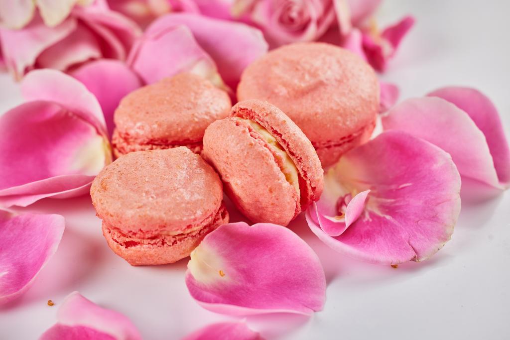 Janette & Co. | bakery | 1640 W 33rd Pl, Hialeah, FL 33016, USA | 3053598091 OR +1 305-359-8091