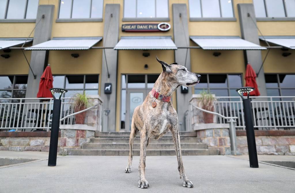 Great Dane Pub & Brewing Co. - Eastside | restaurant | 876 Jupiter Dr, Madison, WI 53718, USA | 6084421333 OR +1 608-442-1333