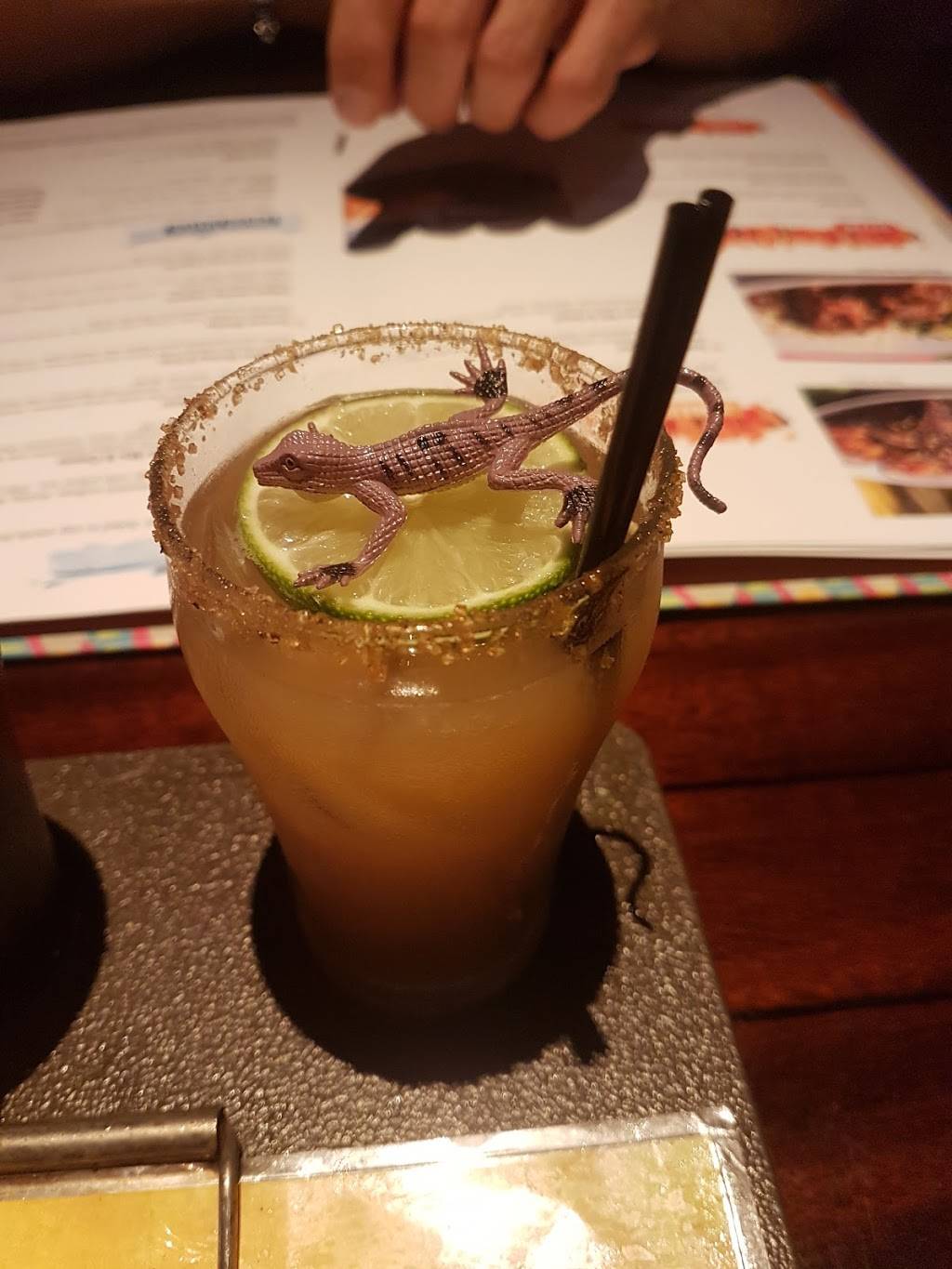 Bahama Breeze | meal takeaway | 2714 Potomac Mills Cir, Woodbridge, VA 22192, USA | 7034914736 OR +1 703-491-4736