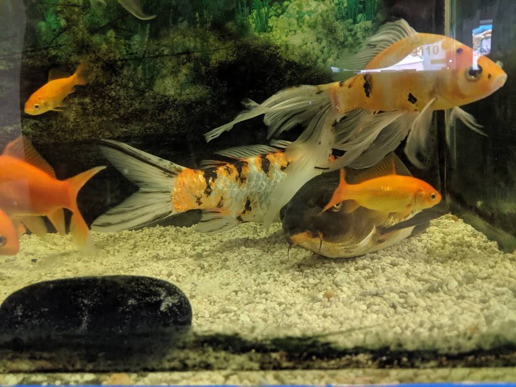 Golden Jade Chinese Restaurant | restaurant | 7330 W Atlantic Blvd, Margate, FL 33063, USA | 9549779044 OR +1 954-977-9044