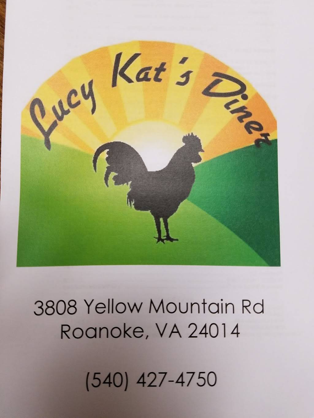 Lucy Kats Diner | restaurant | 3808 Yellow Mountain Rd SE, Roanoke, VA 24014, USA | 5404274750 OR +1 540-427-4750