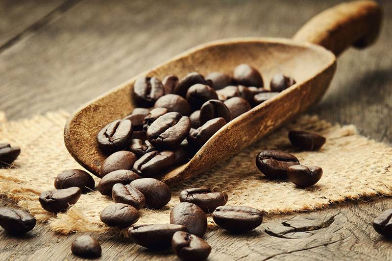 Morning Glory Organic Coffee | cafe | 2895 McFarlane Rd Bay 7, Miami, FL 33133, USA | 3056803446 OR +1 305-680-3446