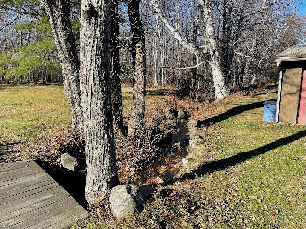 Blue Bear Inn | restaurant | 534 Mountain Rd, Francestown, NH 03043, USA | 6038080174 OR +1 603-808-0174