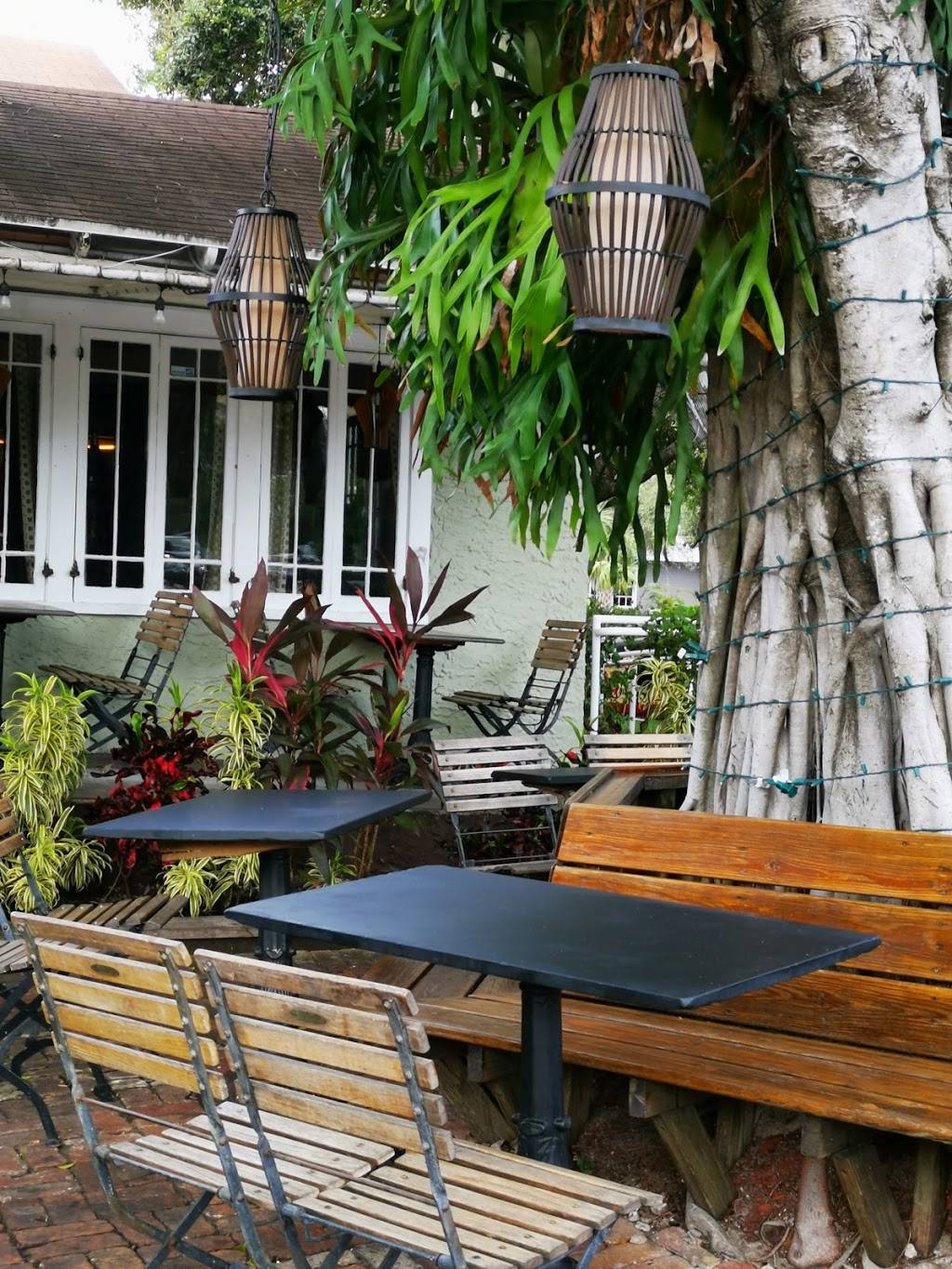 Dada | restaurant | 52 N Swinton Ave, Delray Beach, FL 33444, USA | 5613303232 OR +1 561-330-3232